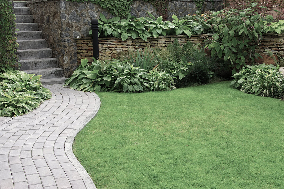 Welcome to Lewis Landscaping